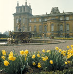 Blenheim